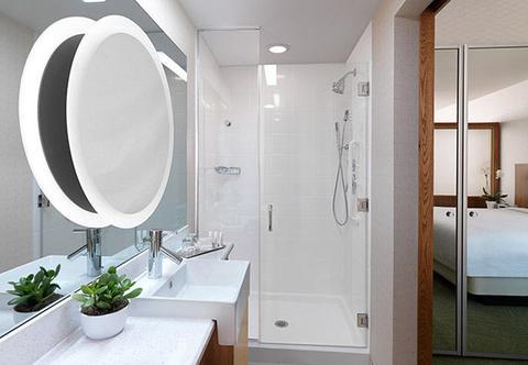 Springhill Suites By Marriott Houston Downtown/Convention Center Luaran gambar